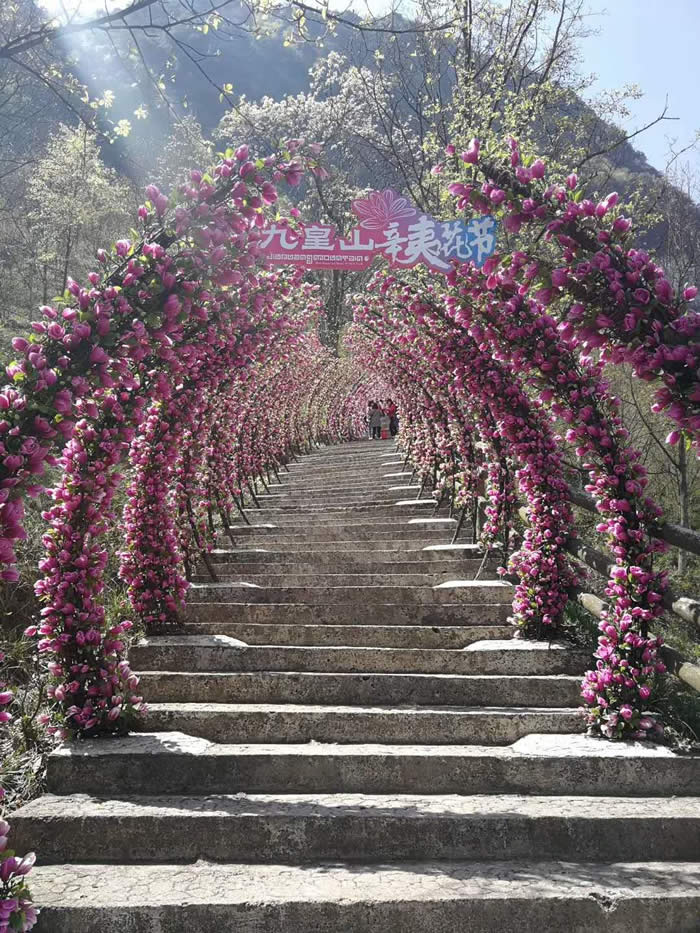 疫后首發團九皇山花溪景一日游