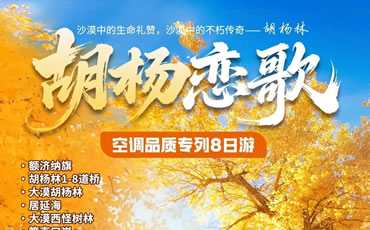 胡楊戀歌—中衛+銀川+額濟納旗專列8日游